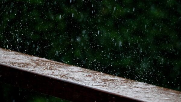 Que signifie vraiment le pourcentage de pluie affiché par les applications météo ?