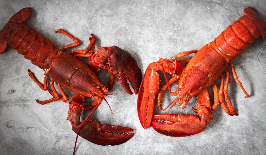 À la table du chef : Jérôme Banctel au Lobster Club du Bar Le Gaspard à La Réserve Paris