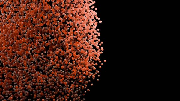 Ces millions de clichés de particules subatomiques sont menacés de disparition