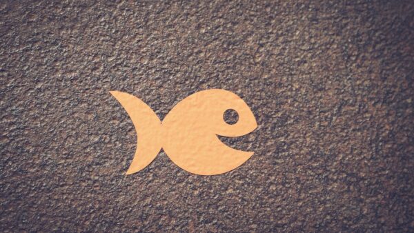 « Une histoire de poisson… » : Grosse désillusion à Bruxelles, l’Islande ne rejoindra pas l’Europe