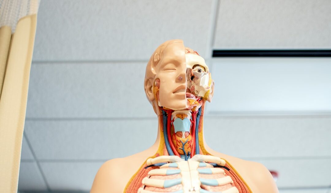 ETH : anatomie d’une raréfaction