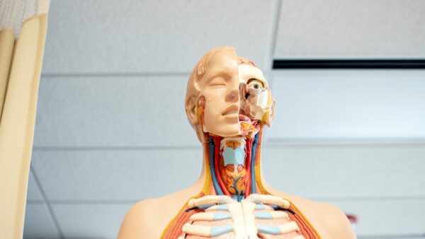 ETH : anatomie d’une raréfaction