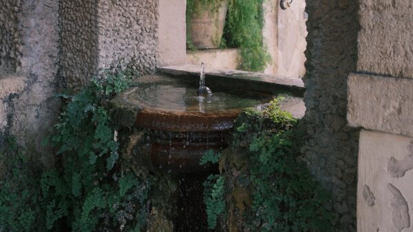 Testée et approuvée, cette fontaine à eau intelligente Philips taillée pour les matous chute sous les 34 €