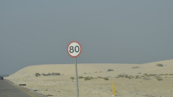 Rouler gratuitement 80 km par jour : c’est la promesse folle de ce constructeur chinois