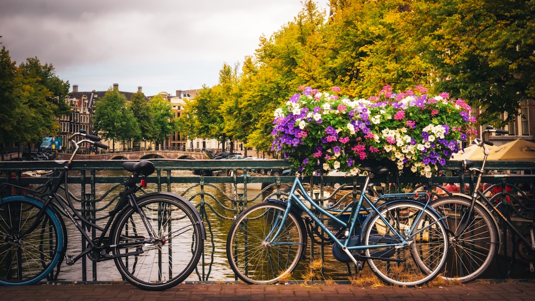 La faillite du n°1 du vélo en Europe débouche sur une première vente aux enchères de vélos ouverte à tous