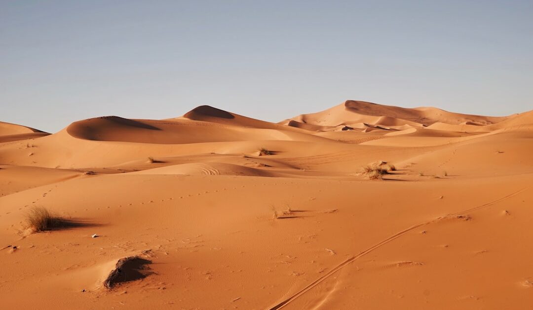 Vous pouvez jouer 20 minutes à Crimson Desert en cliquant sur un lien