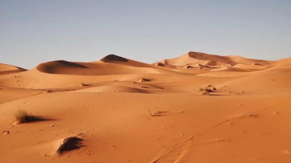 Vous pouvez jouer 20 minutes à Crimson Desert en cliquant sur un lien