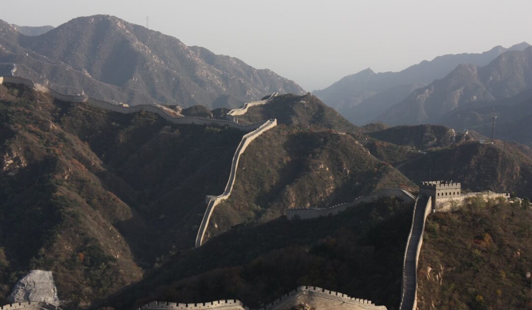 L’envers de la transition : en Chine, le gigantesque parc solaire menace les oiseaux