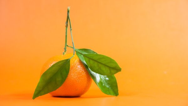 Orange permet désormais de payer ses factures Sosh avec Wero, l’alternative à Visa et Mastercard