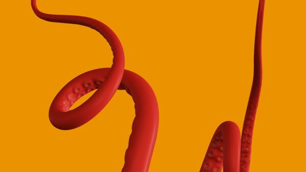 IPO de Kraken : le grand report continue, rendez-vous mi-2027