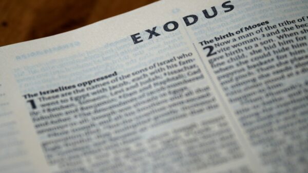 J’ai joué à Exodus : et si c’était lui, le prochain Mass Effect ?