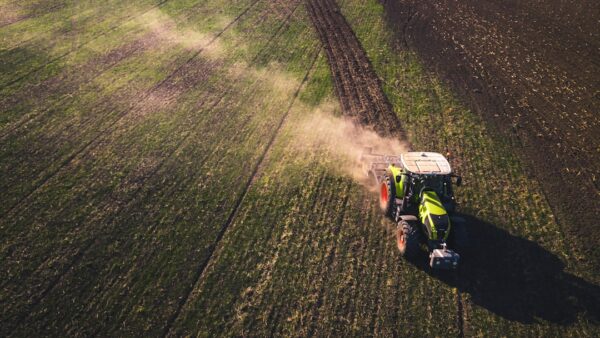 El Niño : les 8 matières premières agricoles à surveiller pour investir