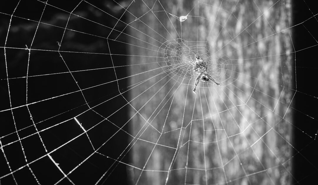 La série Spider-Noir est annulée malgré 11 nominations aux Emmy Awards