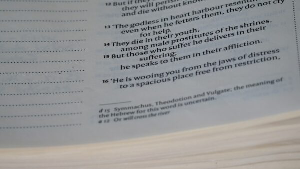 Actions ou obligations ? Ce placement méconnu permet de profiter des deux en limitant les risques