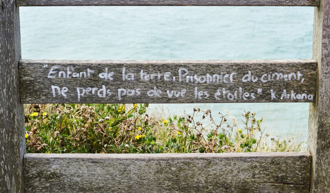 « Scandaleux et irresponsable » : pourquoi le partenariat entre EDF et le géant chinois BYD fait-il polémique ?