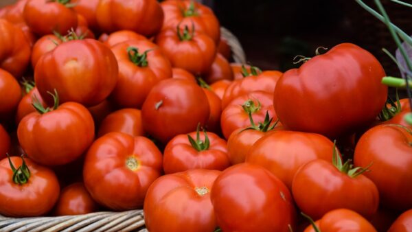 iPhone à 2 000 euros contre tomate à 4 euros : le calcul que le patron de Système U n’a pas fait