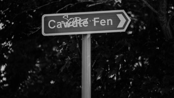 Caroline Ellison retrouve un poste : L’ex-bras droit de FTX rebondit chez la fondation caritative Manifund
