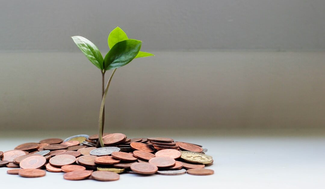 Quand l’investissement patrimonial devient une stratégiede transmission sur mesure