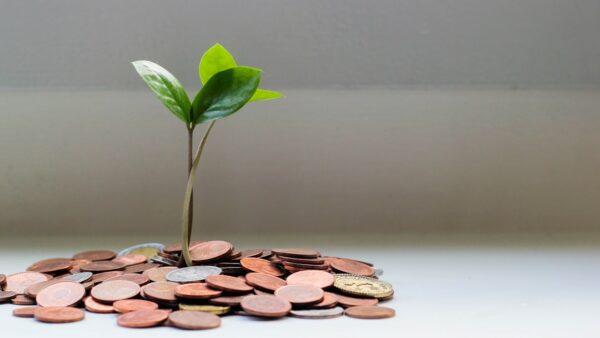 Quand l’investissement patrimonial devient une stratégiede transmission sur mesure