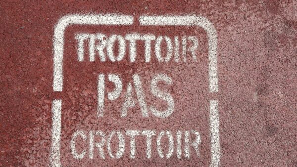 « Nous ne pouvons pas porter tous les efforts » : à Marseille, la fronde des patrons contre la hausse des taxes