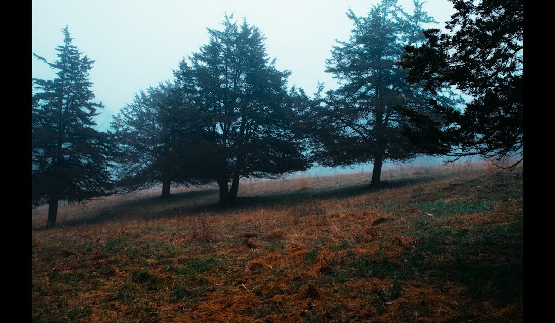 Le compositeur de Silent Hill signe la musique d’un jeu d’horreur où il faut faire le ménage