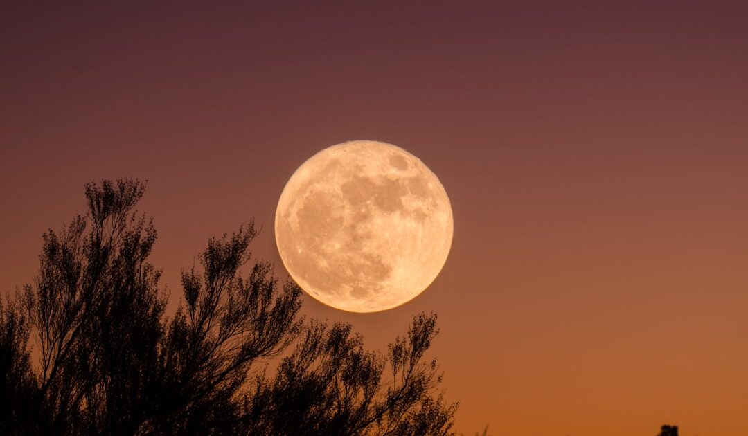 Calendrier de la pleine Lune en 2026 : quand a lieu la prochaine ?