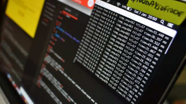 Les Pays-Bas construisent leur propre Linux pour quitter Windows dans l’administration