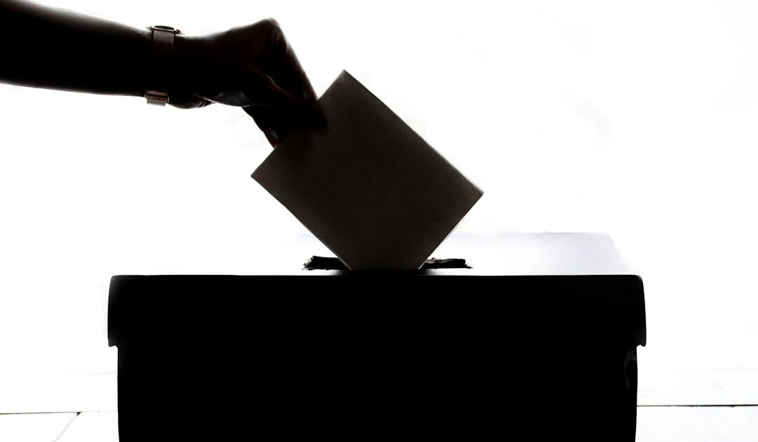 Elections sénatoriales : les premiers résultats sont tombés, le RN en quête d’une percée au Palais du Luxembourg