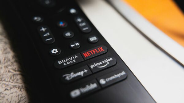 Netflix et Disney vs. OVH : la justice ordonne à l’hébergeur de bloquer les plateformes pirates, pourquoi ça pose problème