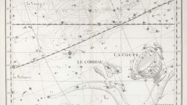 Vol orbital du Starship vécu à 8 km du pas de tir : le bruit et les vibrations font trembler les murs (vidéo)