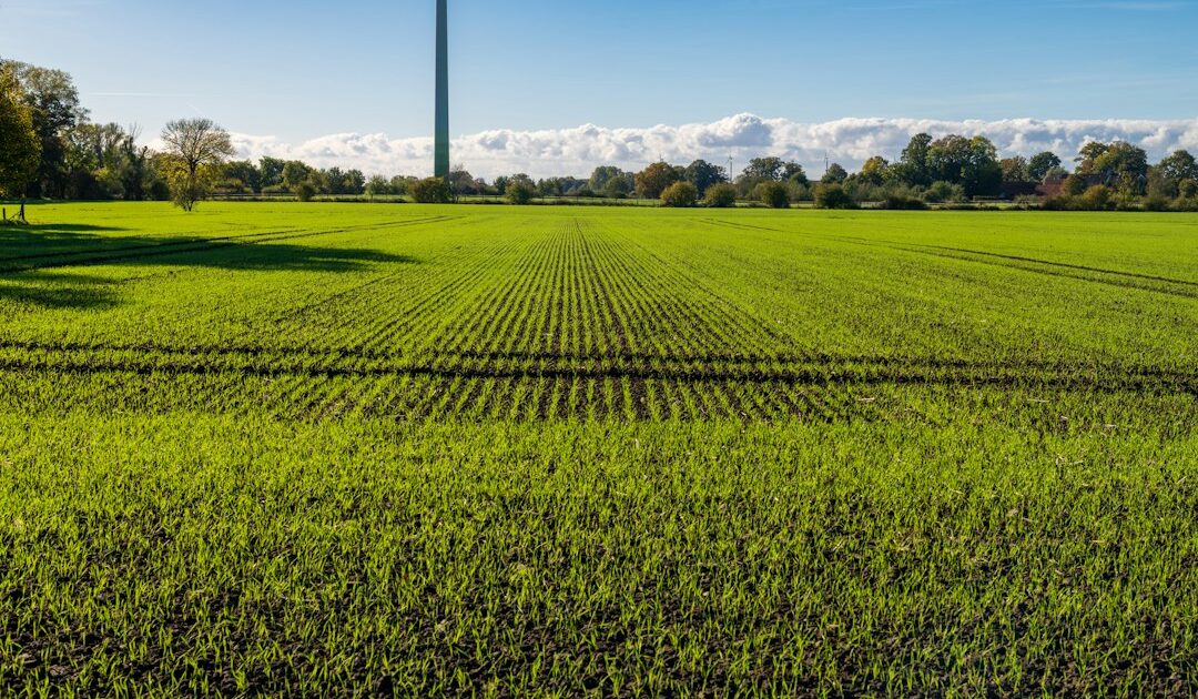 La Greentech Biotope, championne de la préservation de la biodiversité, accélère son développement international