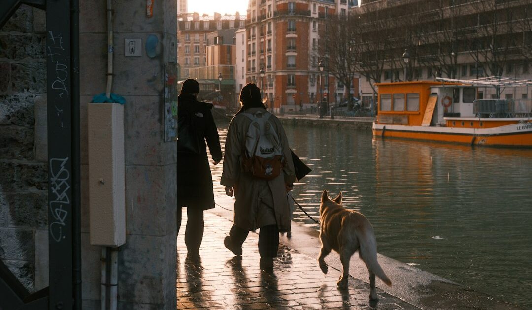 Canal+ : les meilleures séries à voir en octobre 2026 pour se changer les idées