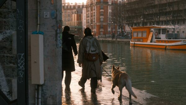 Canal+ : les meilleures séries à voir en octobre 2026 pour se changer les idées