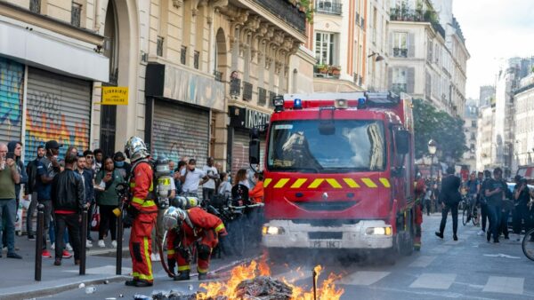Après les incendies de l’été, faut-il encore investir dans une forêt ? Rendement, fiscalité, risques… ce qu’il faut savoir avant de se lancer