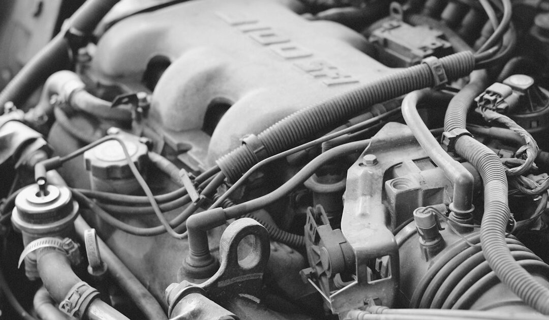 « Ne payez jamais » : un moteur de données volées tend un nouveau piège à ses victimes