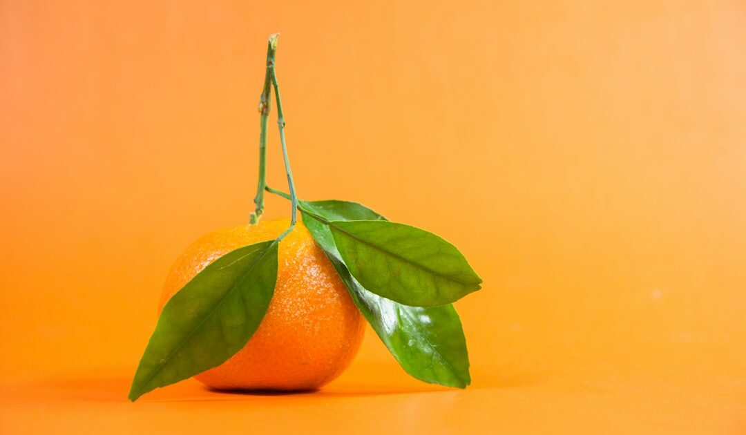 La 2G d’Orange (et de Free) s’éteint à jamais dans 44 départements ce 6 octobre : voici la liste