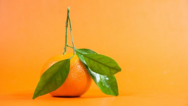 La 2G d’Orange (et de Free) s’éteint à jamais dans 44 départements ce 6 octobre : voici la liste