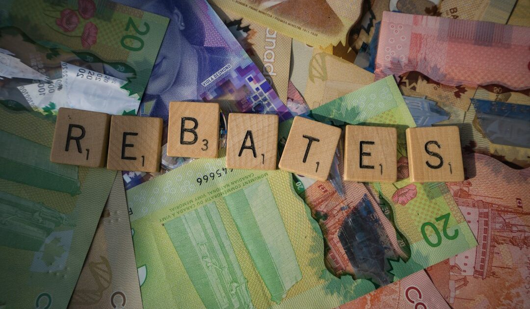 Des retards, des financements insuffisants… : la Cour des comptes alerte sur la stratégie de transition écologique de la France