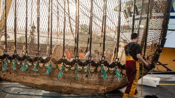 « Les pirates n’étaient pas humains » : Netflix dévoile un documentaire sur la première cyberattaque signée ChatGPT