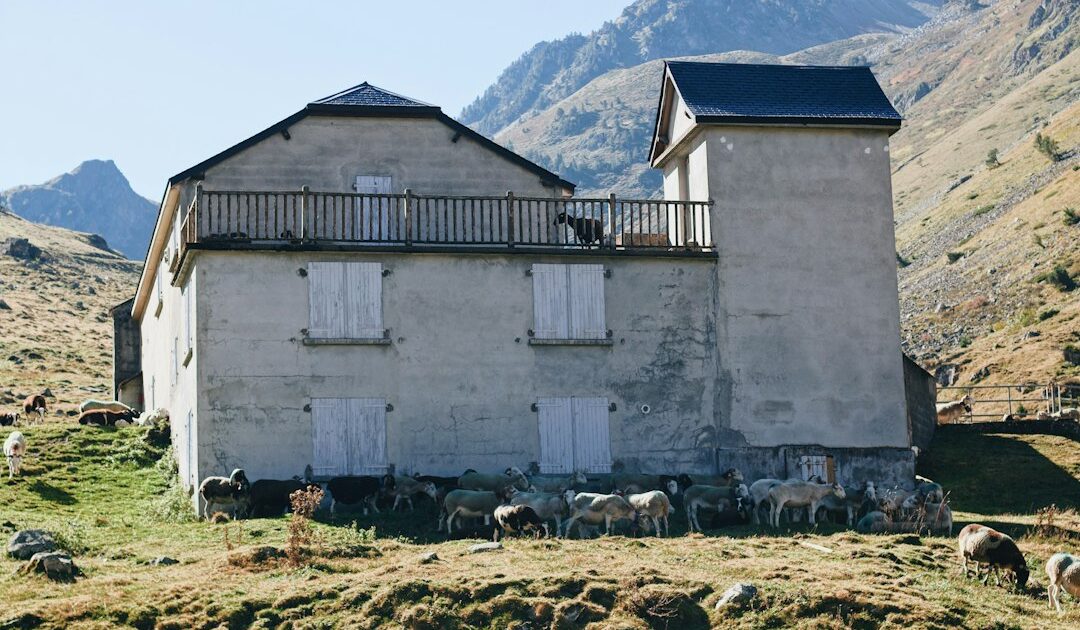 Hausse des prix de la RAM, délais rallongés et pénurie, tout comprendre à la crise de la RAM