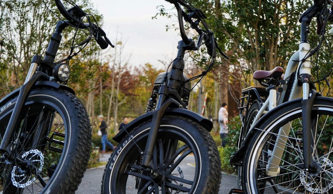Quadricycles électriques : le gouvernement dégaine une prime de 2 000 €, mais tout le monde n’y aura pas droit