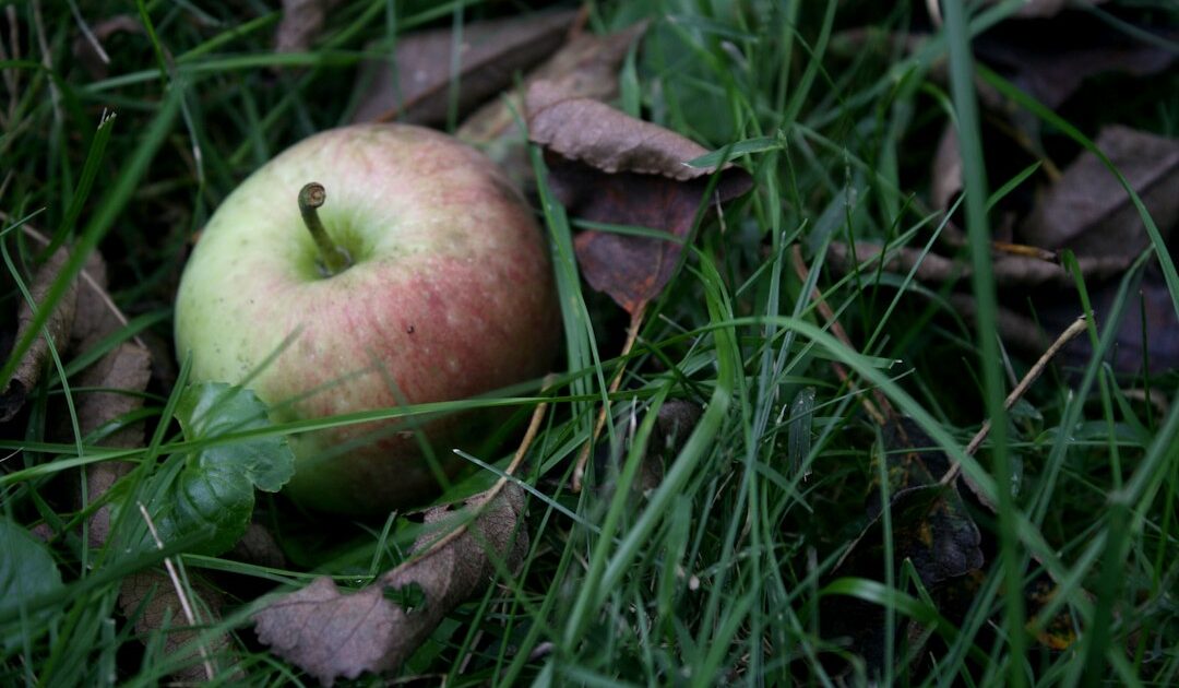 Déploiement de la 6G : Apple met déjà le paquet pour s’y préparer