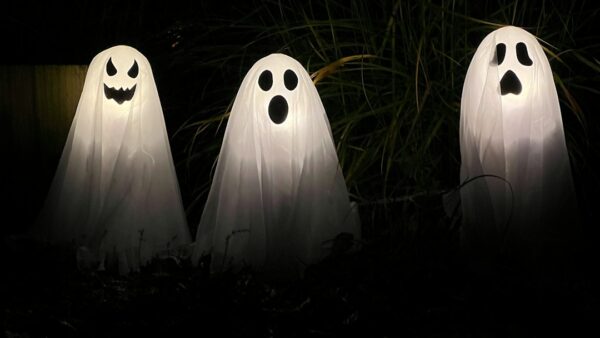 Opération « Confrontation Ghost » menée par les EAU : 960 arrestations et 39 milliards $ identifiés dans 30 pays